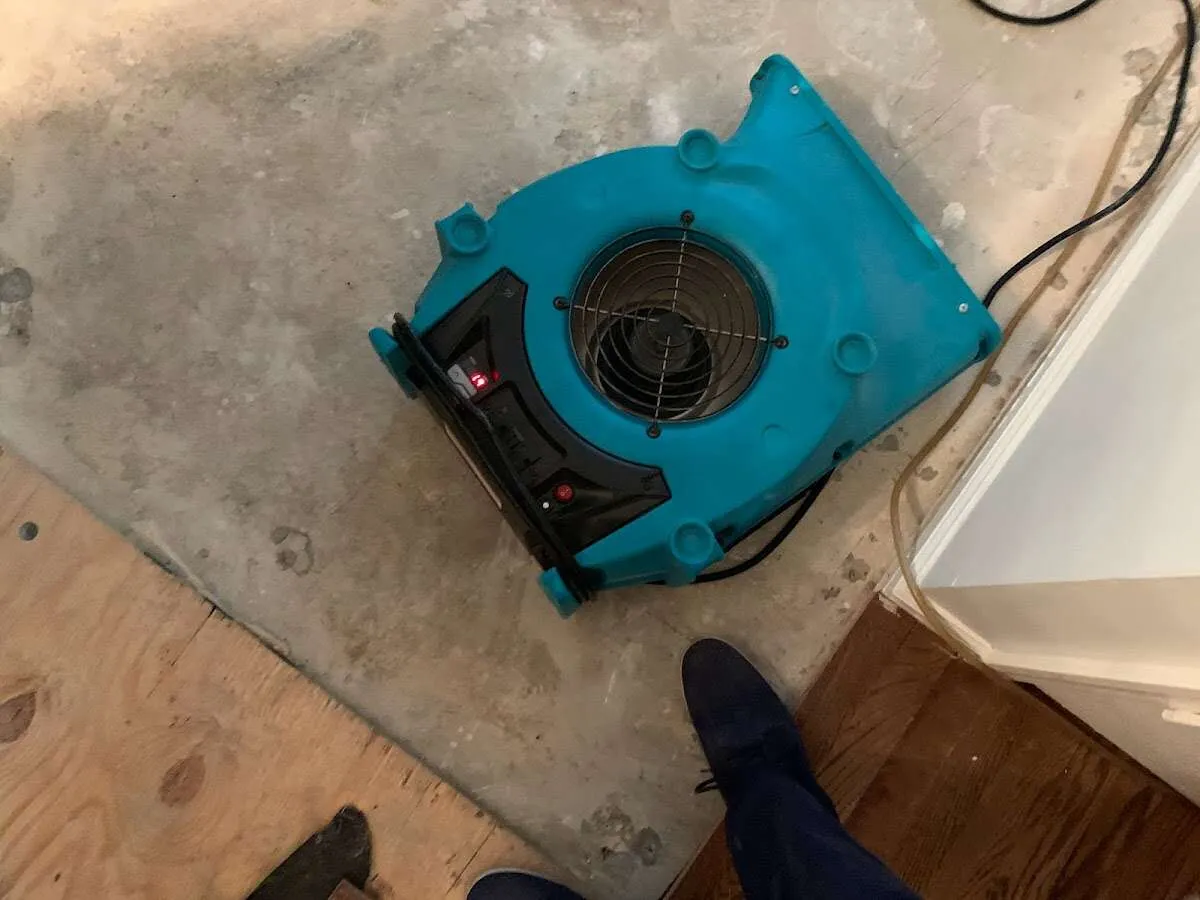 Air mover drying subfloor during Commercial Water Damage Restoration in East Haven